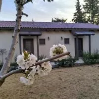 Viesnīca דצ'א - Дача - Dacha pilsētā El-Rom