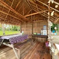 Wesano Homestay Raja Ampat, hotel di Ambabee
