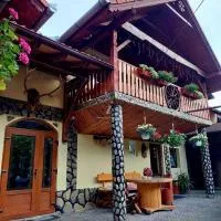 Pensiunea Călin, hotel u gradu Gura Rauluj