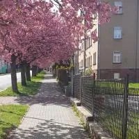 Apartmán Kumburská - Nová Paka, hotel sa Nová Paka