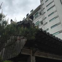 韓國求禮郡10 間最佳飯店 Twd 508 起