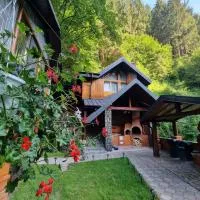 Căbănuța Cocoțată, ξενοδοχείο σε Rucar