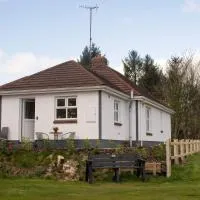 Shirley's House, Hotel in Omagh