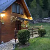 Lisowa Hatka Yavoriv – hotel w mieście Yavoriv