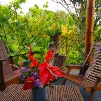 Selva Mayo, hotel i Moyobamba