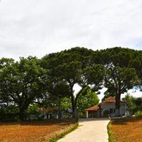 The Ranch of Ancient Ilida, ξενοδοχείο κοντά στο Αεροπορική Βάση Ανδραβίδας - PYR, Κουρούτα