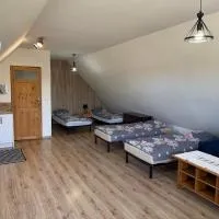 Apartament z tarasem i widokiem na las, hotel en Konopki Małe