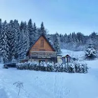 Vila Vlajić 2020、Gornje Paleのホテル