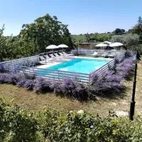 B&B Il Gelso Country House, hotel u gradu 'Castorano'