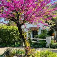 La Petite Maison,位于Corme-Écluse的酒店