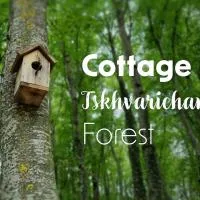 Cottage in Tskhvarichamia forest, hotel in Mtscheta