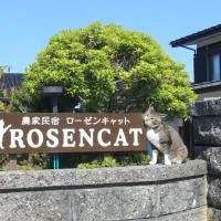 Rosencat, hotell sihtkohas Sado