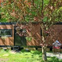 웩스퍼드에 위치한 호텔 Cara Cabin Self Catering Tiny Home