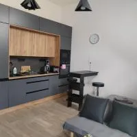 Vicemilice byt, hotel em Vyškov