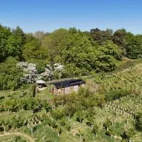 Oskar's Shepherd's Hut at Snug Hollow, hotel a Raithby