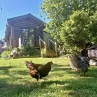 CABIN in hosts huge garden CHILD FRIENDLY with Hens Kittens firepit Marshmallows, hotel u gradu Charing