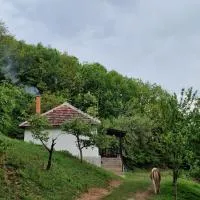 Domaćinstvo Ristović, hôtel à Banovo Polje