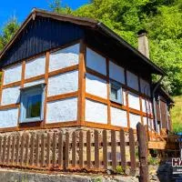 Arode Hütte Harzilein - Romantic tiny house on the edge of the forest, hotel en Zorge