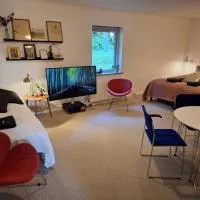 Stort og dejligt værelse med privat bad, hotel di Hornsyld