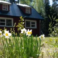 Forest Outdoor 'Plan Torpet' Cabin โรงแรมในSödra Ström