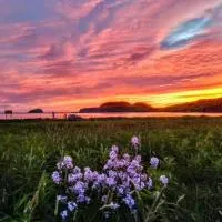 Red Sunset Cottage in Twillingate, hotel en Twillingate