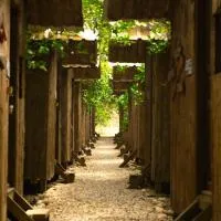 올림포스에 위치한 호텔 Olympos Yakamoz Pansiyon