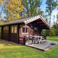 Camping Alkenhaer Appelscha Blokhut Plus – hotel w mieście Appelscha