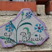 Les Bleuets, Hotel in Lapalisse