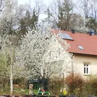 Ferienhaus Rötzer - Forsthausschmankerl mit Sauna, Whirlpool und Grill, hotel in Bruck in der Oberpfalz