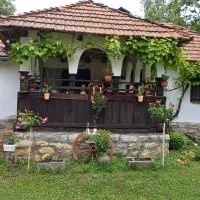 Etno kutak Đurković, hotel v destinácii Popovica