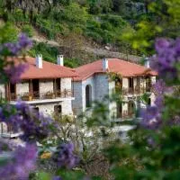 Aeriko Guest House, מלון בסטמניצה