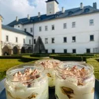 Hotel Zámek Letohrad, hotel en Letohrad
