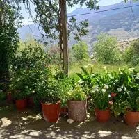 Ikarian Family Cottage, Ikaria Droutsoulas، فندق في Akamatra