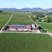 Vögelis WeinNest, Hotel in Landau in der Pfalz
