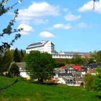 Werrapark Resort Hotel Frankenblick, hotel di Masserberg