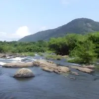 Palatty's Resorts, hotel i Athirappally