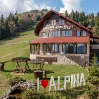 Complex Turistic Alpina Blazna Sant, хотел в Şanţ