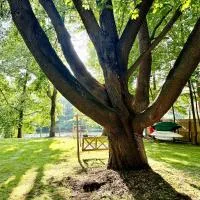 Family Lake House Waterfront, hotel a Saugerties