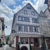 Hotel Schwanen, מלון במוסבאך
