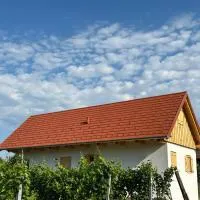 Modernes Kellerstöckl im Südburgenland, hotel em Güssing