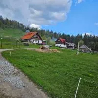Gheţari में, होटल Pensiunea Scarisoara