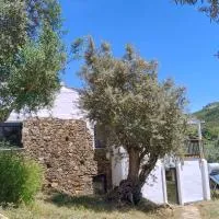 Alegria rustica 2 Rustic happiness: Envendos'ta bir otel