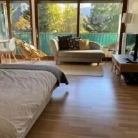 Studio avec terrasse à deux pas de Genève avec Parking, viešbutis mieste Gajaras