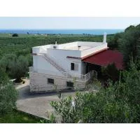 Casa Mare e Ulivi, viešbutis mieste Matinata
