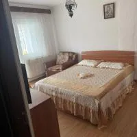Prăjila에 위치한 호텔 Garsonieră Băile Govora