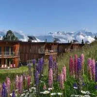 L'Aiguille Grive Chalets Hotel, hotel u gradu 'Arc 1800'