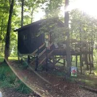 River Ridge Cabins, hotel in Mountain View