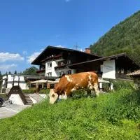 Pension Baranekhof - Accommodation in Nature with Mountain Views - Baranek Resorts, Hotel in Kaprun