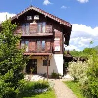 Pensiunea Dorel Codoban, hotel em Lazuri