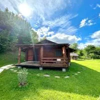 Відпочинок у Закарпатті, hotelli kohteessa Kushnytsya
